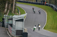 Advanced Group White Bikes